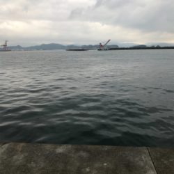 目指せサイズアップ！