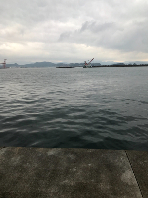 目指せサイズアップ！