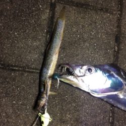 自作アシストVSトレーラーフック