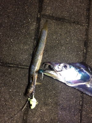 自作アシストVSトレーラーフック