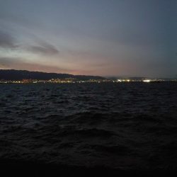 久々武庫川一文字