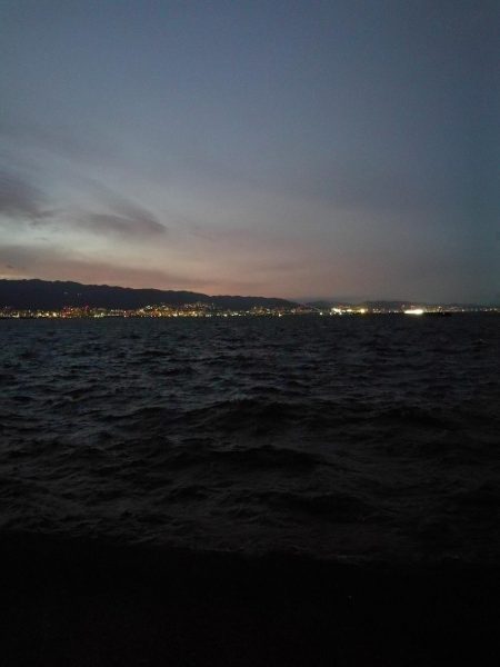 久々武庫川一文字