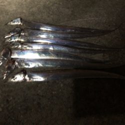 好調タッチー(^^)