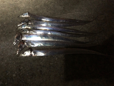 好調タッチー(^^)