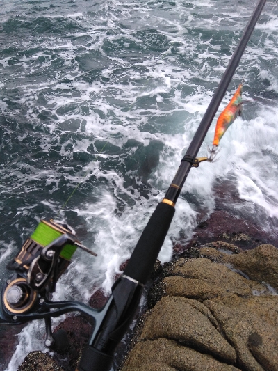 シーバスロッドでアオリイカエギング