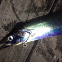 テンヤの重さは？