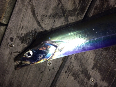 テンヤの重さは？