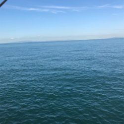 やっと秋が来た！