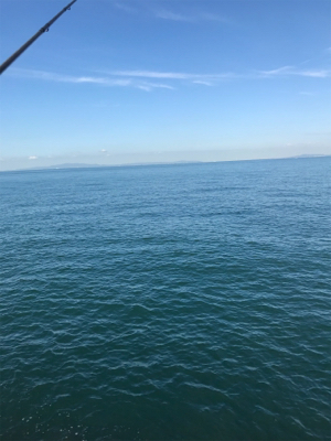 やっと秋が来た！