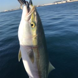 念願の今年初ブルー！！