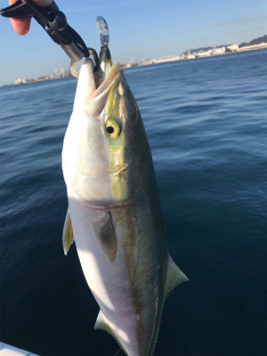 念願の今年初ブルー！！