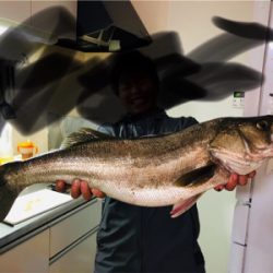 久しぶりのシーバスフィッシング