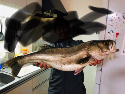 久しぶりのシーバスフィッシング