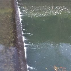 そろそろSRクランクでも…