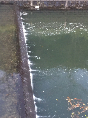 そろそろSRクランクでも…