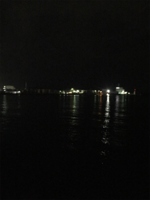 太刀魚アタリは多いが