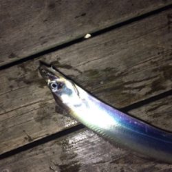 今日は渋かったぁ