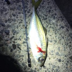 淡路島ランガン5種目達成