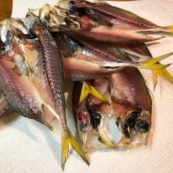 何とかサゴシ＋サバアジ爆釣！