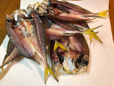 何とかサゴシ＋サバアジ爆釣！