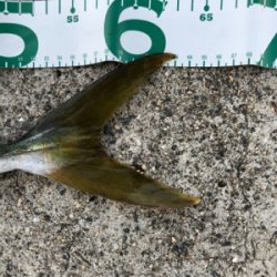 最近僕は絶好調！？