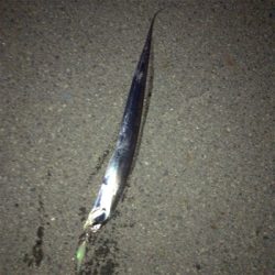 急に冷えたからか渋い