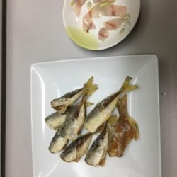 安定のジグサビキ