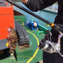 合津港で初釣り