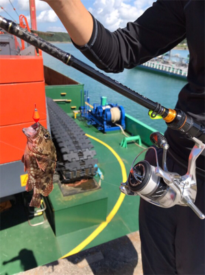 合津港で初釣り