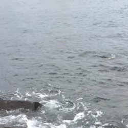 LSJigginger0805〜0928