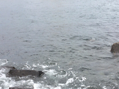 LSJigginger0805〜0928