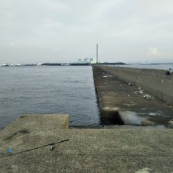 もうちょっと釣りたいよ〜