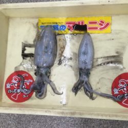 フジラッピさんと釣行！