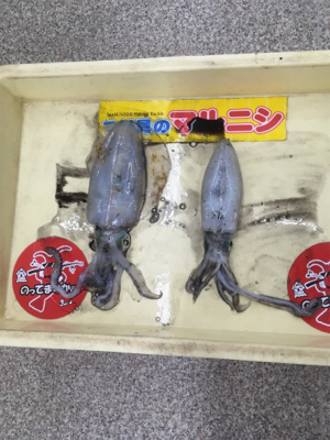 フジラッピさんと釣行！