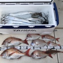 タチウオジギング  鯛ラバ