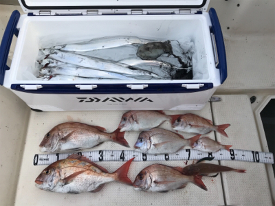 タチウオジギング  鯛ラバ