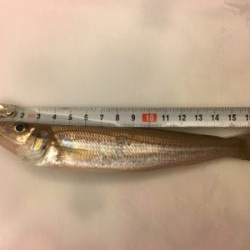 デイアジング!…のつもり