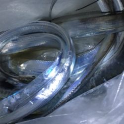 まさかのゲスト