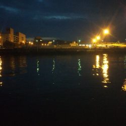 南港フェリー乗り場（本日ダブルヘッダー）