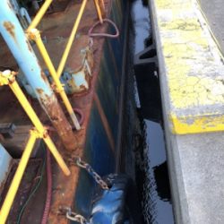 シーバスやキビレ