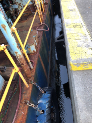 シーバスやキビレ