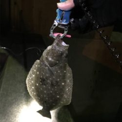 五目達成ライトゲーム