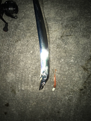 今夜は渋い‼︎