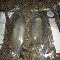 半月を眺めながら今夜も