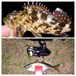 LSJigginger0600〜0850