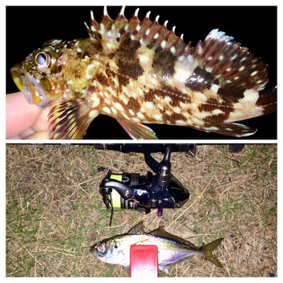 LSJigginger0600〜0850