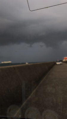 久しぶりに釣れた