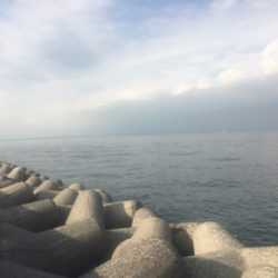 タチウオプチラッシュから青物不発