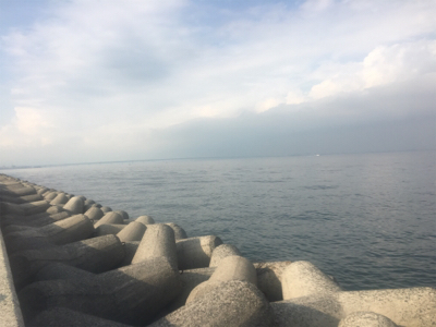 タチウオプチラッシュから青物不発