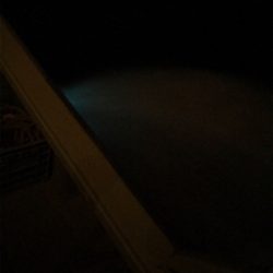 (釣行 其の弐拾九)